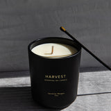 Harvest | Essential Oil Candle | Medium 300g