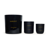 Harvest | Essential Oil Candle | Medium 300g